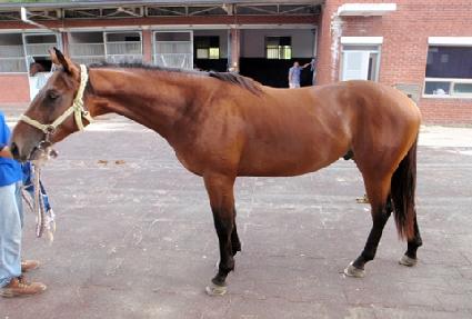 ��������� ����