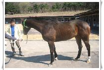 ��õ���� (EOCHEONMANSA) ����