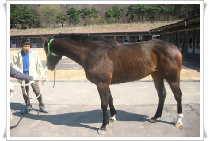 ��õ���� ����