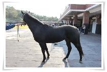 ����Ʈ��ó�� (PERFECT REACHABLE) ����