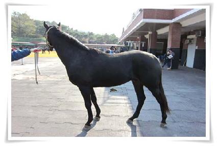 ����Ʈ��ó�� ����