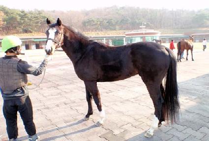 ������ ����