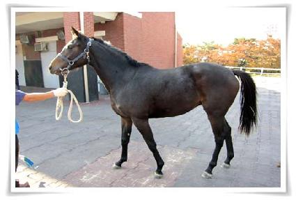 �ƽ����� ����