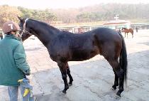 ��ũ��ī�� (SECRET CARD) ����