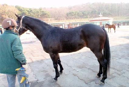 ��ũ��ī�� ����