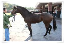 ç��������Ʈ (CHALLENGE CONCEPT) ����