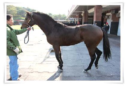 ç��������Ʈ ����