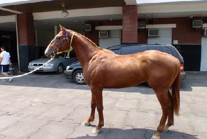 ��ģ�� ����