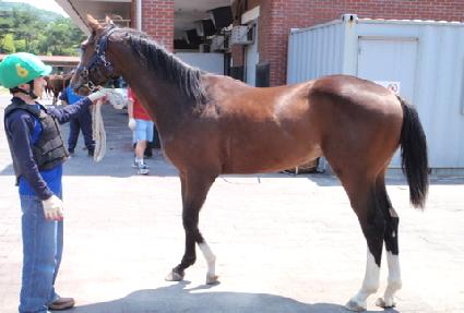 ���η� ����