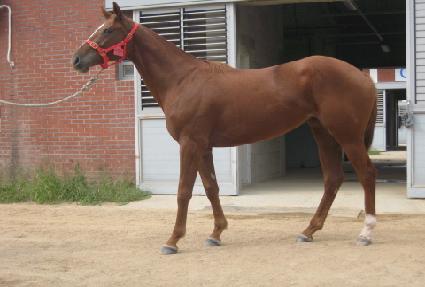 ������Ĺ ����