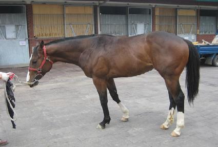 �㸮���� ����