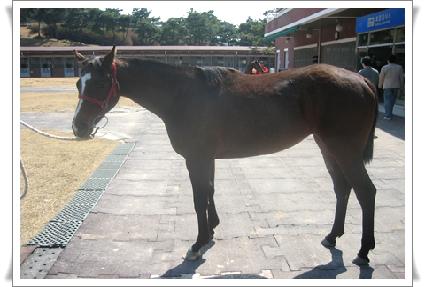 ��Ʈ�տ����� ����