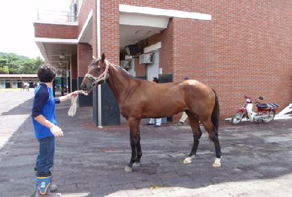 ��Ʈ����Ʈ ����