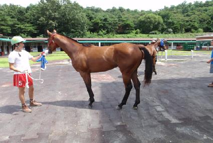 ���� ����