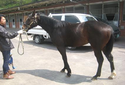 ����Ʈ������ ����