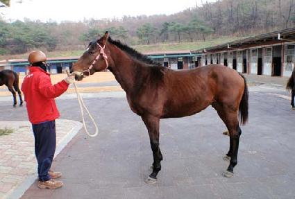 ��⸸�� ����