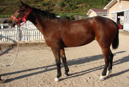 �������� ����