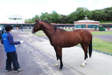 ȯ���� ����