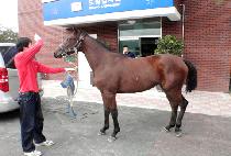 ���̽��븮 (NICE VALLEY) ����