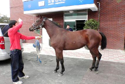 ���̽��븮 ����