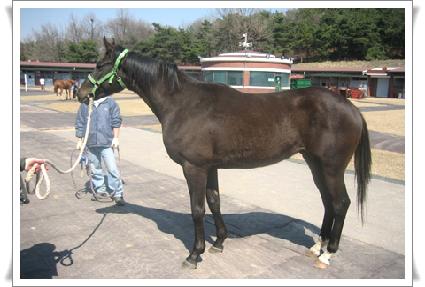 ����¡�� ����