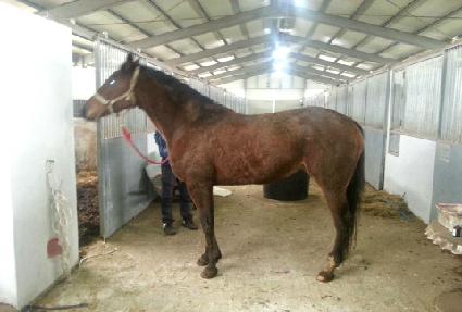 ���̳�����Ʈ ����