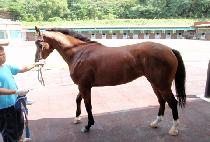 �÷����� (PLUS ONE) ����