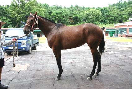 ������� ����