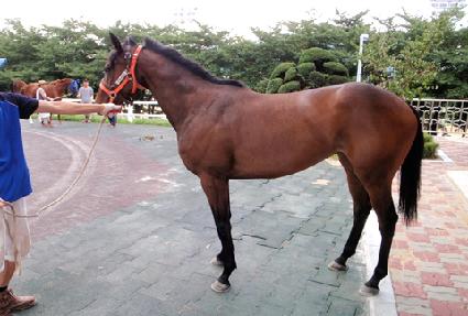 ���ν��� ����