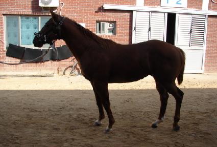 �̽��;��� ����