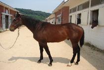 ���󿵿� (JEONGSANG YEONGWON) ����