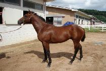 ����帲 (HUIMANG DREAM) ����