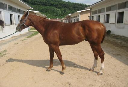 ������� ����