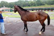 �츮�� (URIYA) ����