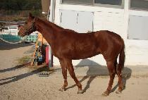 ���帮�� (SANBANG DREAMING) ����