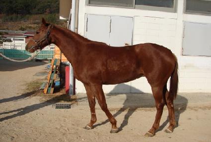 ���帮�� ����