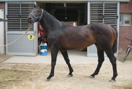 �ٶ����� ����