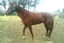 �ָ���Ƽ (JUMAL PARTY) ����