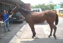 �Ӵ���ũ (MONEY TALK) ����