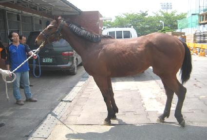 �Ӵ���ũ ����