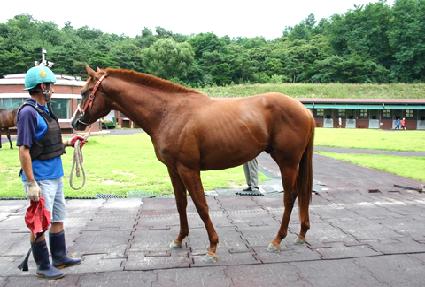 Ÿ�Ӷ���Ʈ ����