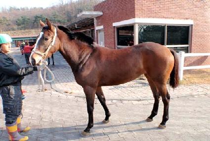 �̽��ֽ��� ����