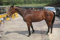 �м��� (BUNSURYEONG) ����