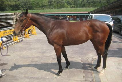 �м��� ����