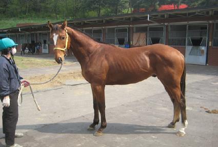 ���̺� ����