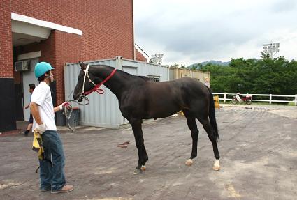 ������Ƽ ����