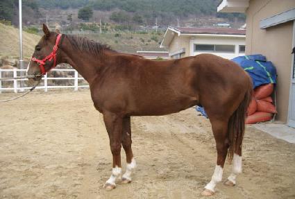 �����빮 ����