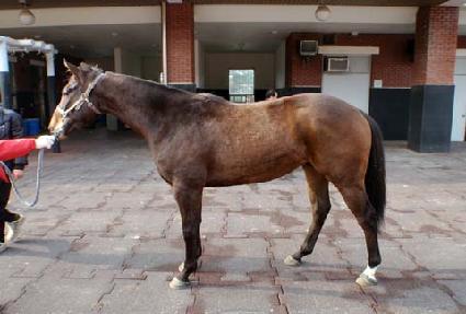 �̽��;�Ƽ�� ����