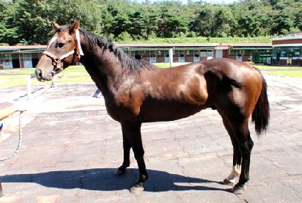 �Ǻ�Ƶ帮�� ����