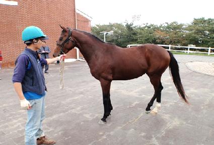 ��Ŭ�� ����